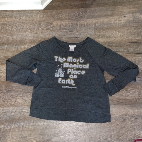 Disney Parks The Most Magical Place on Earth Sweatshirt size M Gray - Picture 1 of 13